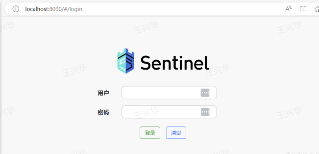 image-20241020213248834