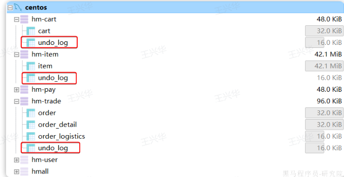 image-20241028105959439